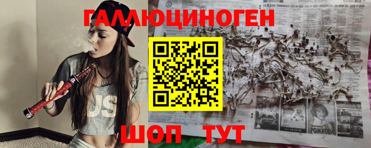 Галлюциногенные грибы мицелий  Псилоцибиновые грибы GOLDEN TEACHER  Вход с VPN  Добрянка 